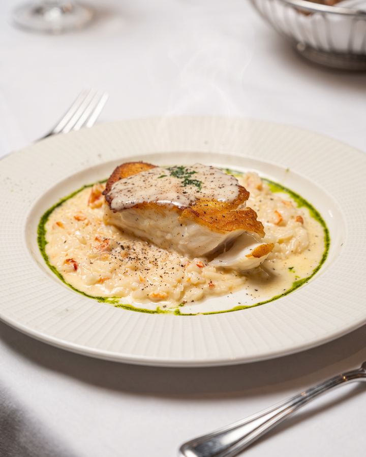 Seared fish in a cream sauce